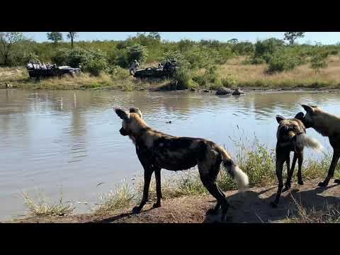 Chris Bates Safaris and Two Oceans One Breath