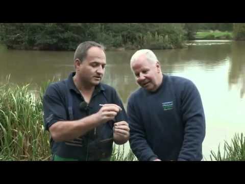 Part 3 Angling basics with Shakespeare - Understanding Pole Tackle.mp4