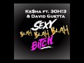 Sexy Blah Blah Blah Bitch (Ke$ha ft. 3OH!3 ...
