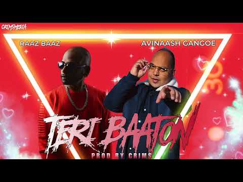 AVINAASH GANGOE FT RAAZ BAAZ - TERI BAATON (PROD.BY CRIMS)