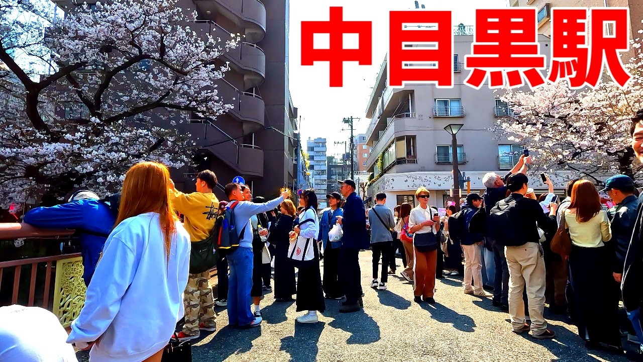 【4k60】桜の名所！中目黒を散策！東京都目黒区(Japan Walking around Nakameguro Station)