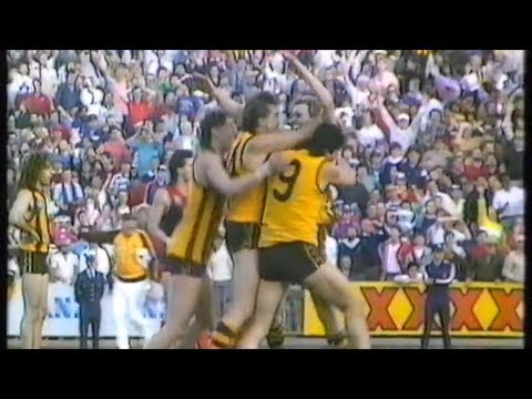 1987 VFL Preliminary Final - Hawthorn vs Melbourne