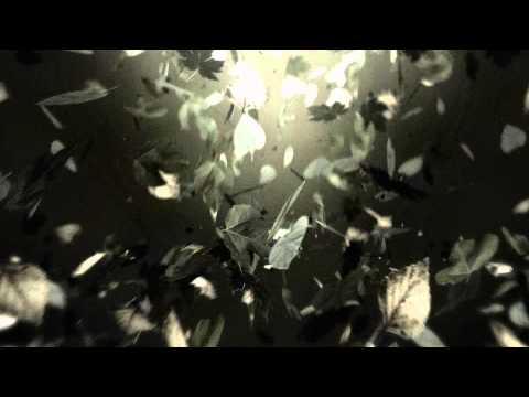 TEDxHradecKrálové 2014 - Bez života?