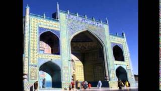 Setiap Makhluk Ada Fungsinya Masing2