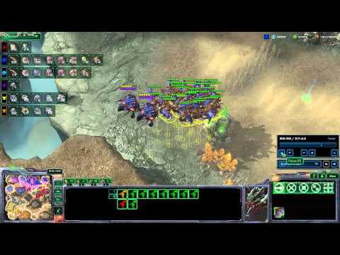 widow mines hits large muta flock