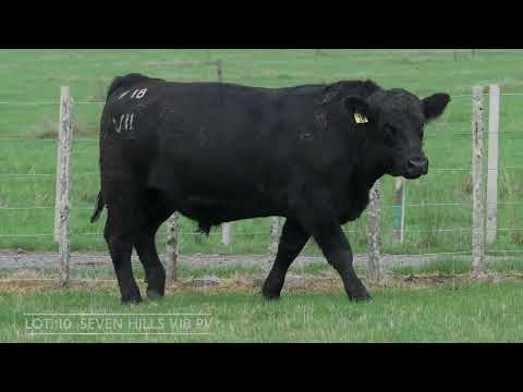 Lot 10  SEVEN HILLS V18 PV
