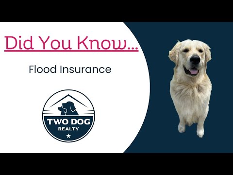 Flood Insurance in Richmond, VA: What Buyers and Sellers Need to Know — Two Dog Realty video