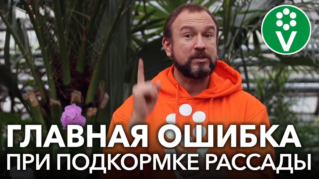 Не подкармливайте рассаду до ЭТОГО момента. Никогда не совершайте эту ошибку!