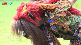 Download lagu PRAJURIT BUTO GEDRUG Oleh MAHASISWA JURUSAN TARI ISI SURAKARTA #GEGARAMENARI mp3