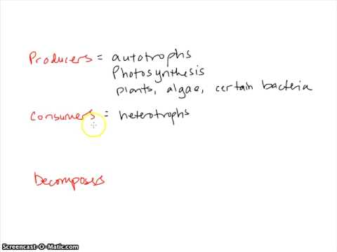Energy of Life (Part 1)
