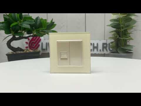 Розетка интернет двойная RJ-45 кат.6 Livolo, 1 пост, цвет жемчужный VL-C792C-14