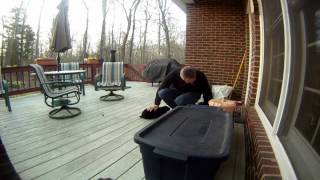 The Rabbits   On a Crisp February Morning