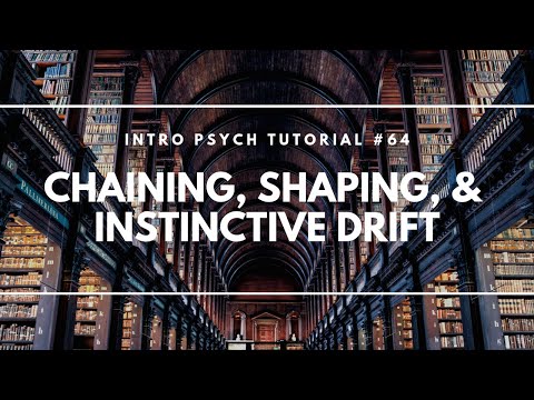 Learning Theory Classical Conditioning Intro Psych Tutorial 59