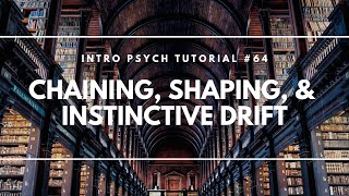 Chaining, Shaping, & Instinctive Drift (Intro Psych Tutorial #64)