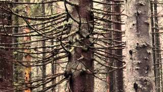 Embraze   The Sun loves the Moon