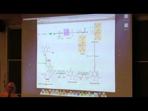 Kevin Ahern's BB 350 (Nitrogen Metabolism II) 2014 - #37