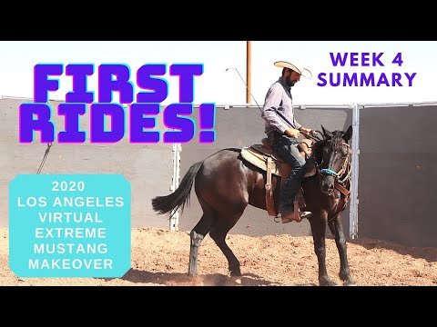 First Rides! 2020 Los Angeles Virtual Extreme Mustang Makeover Week 4 Summary!