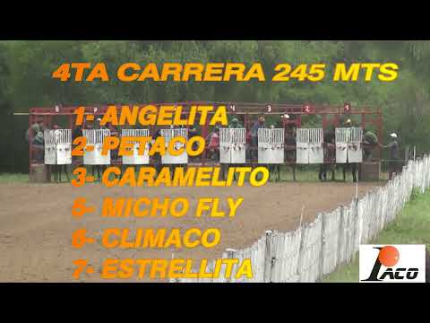 MICHO FLY DON NICO BAÑADO DE SOTO 13 03 2022