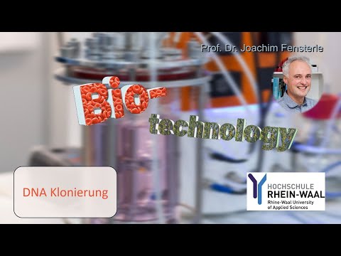 BSH Biotechnologie - Restriktionsenzyme, DNA Klonierung, CRISPR/Cas