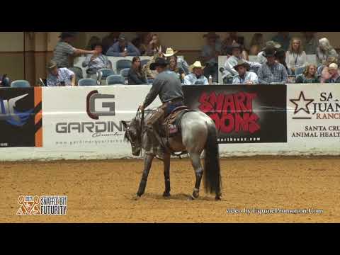 Plain Catty ridden by Jake D. Gorrell  - 2017 Snaffle Bit Futurity (Rein Work, Open Finals)
