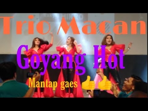 Goyang Hot||Trio Macan live