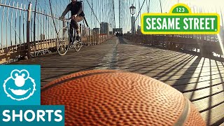 Sesame Street: Basketball, "What If"