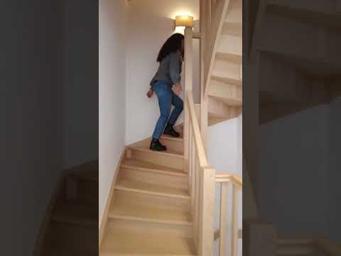 Vidéo