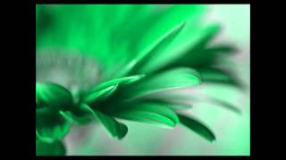 Leighton meester words i couldnt say