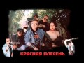 Красная плесень Блядь 