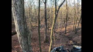 Illinois Deer Hunt November 2024