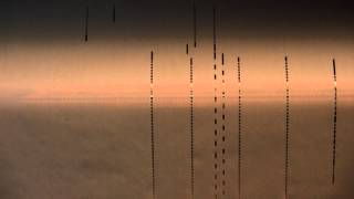 Memories of You Played by Eubie Blake