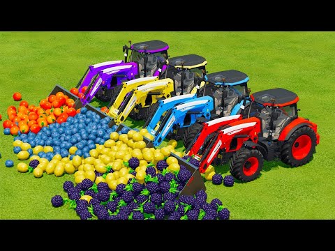 LOAD AND TRANSPORT FRUITS WITH MCCORMICK TRACTORS Farming Simulator 22