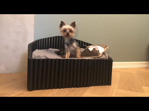 Gjør det selv: Slik bygger du en hundeseng