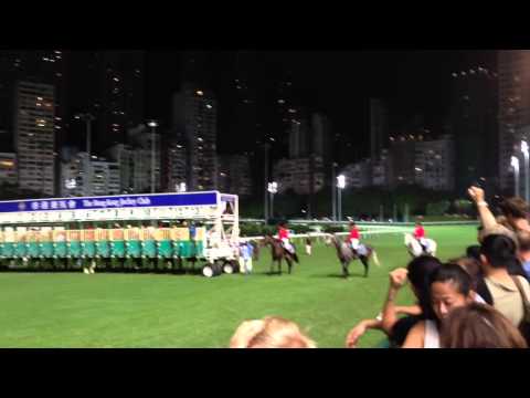 Horse racing Hong Kong