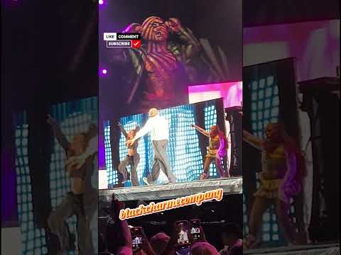 CHRIS BROWN CANTANDO LOYAL NO SHOW EM SÃO PAULO 🔥 #chrisbrown #saopaulo