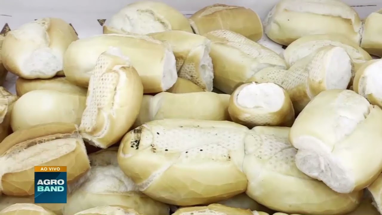 Produção de trigo deve cair 27% e pode pressionar preço do pão francês