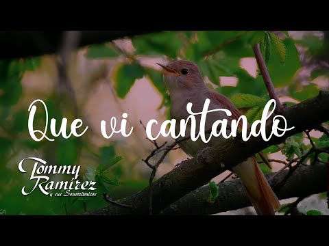 Pajarillo Herido - Tommy Ramírez y Sus Sonorritmicos (Letra Video Oficial)