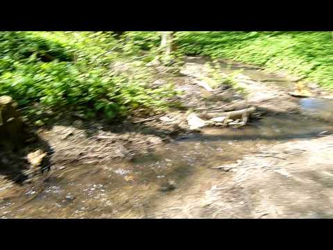 Leithagebirge - Austria