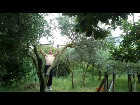 500 PULLUPS [24/06/16]