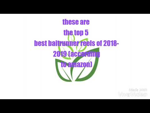 Top 5 best baitrunner reels of 2018-2019