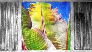 JUST IN KH aka Four Tet - Only Human [MayDay Express]