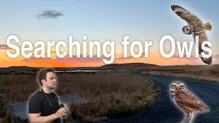 Searching For Owls While Birding at Dusk