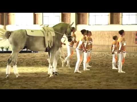 Bayerische Meisterschaften 2015 - Gut Waffenschmiede I (Kür 2)