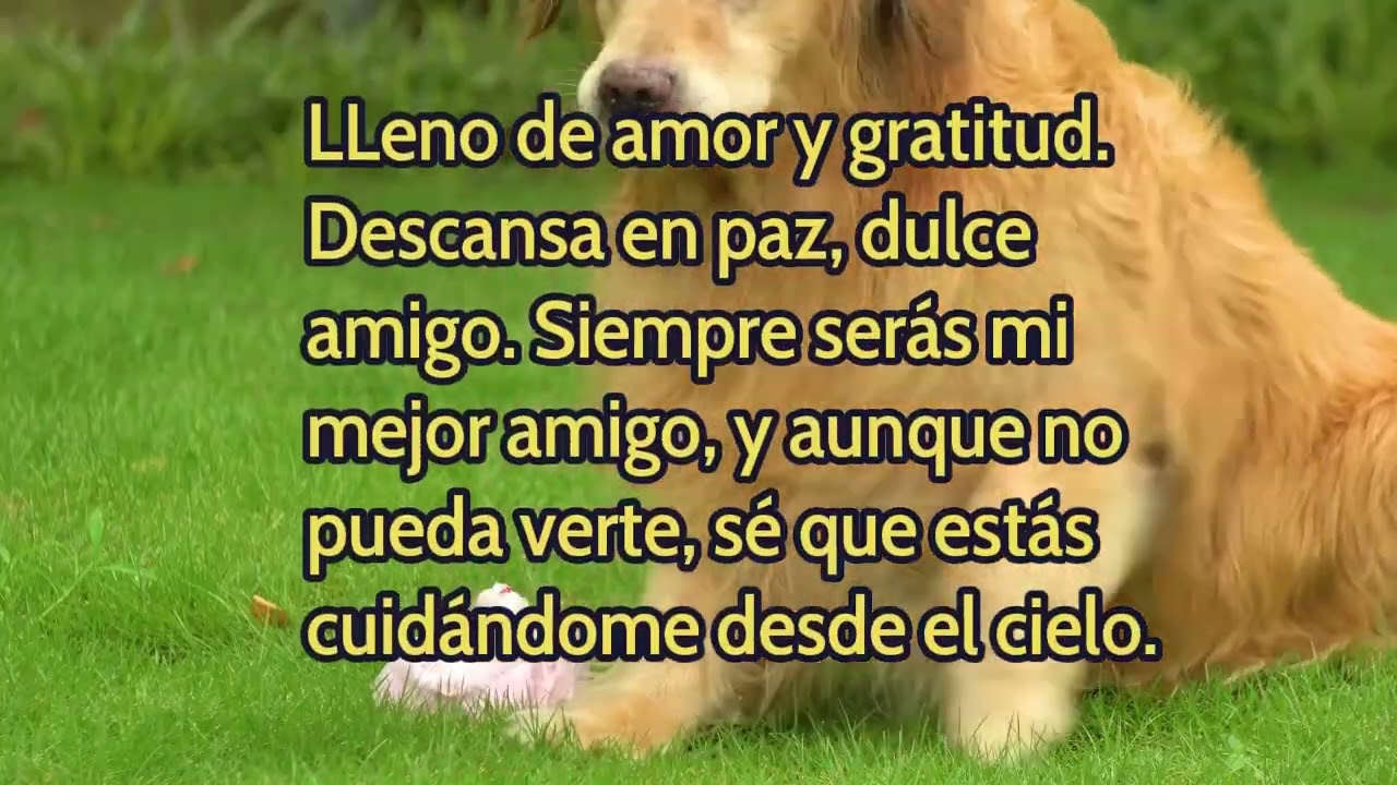 A MI FIEL AMIGO QUE PARTIÓ AL CIELO,