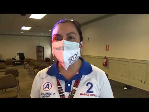 DEL CONGRESO AL PARLAMENTO ANDINO