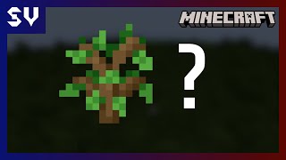 A Minecraft world... with nothing but trees?