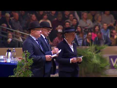 Paard van het Jaar 2018