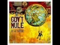 Gov't Mule   Any Open Window