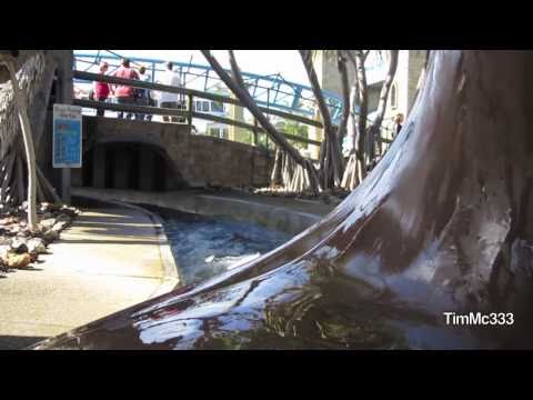 "Viking's Revenge" Flume Ride HD POV (Sea World Australia)
