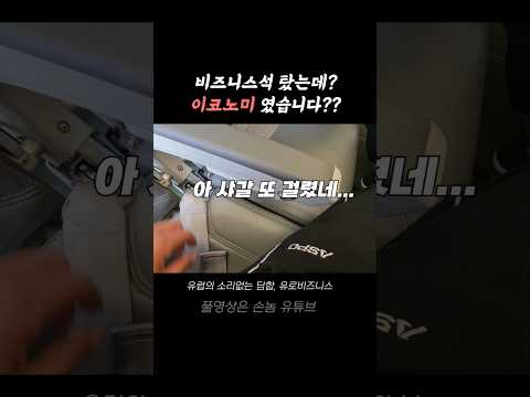 유럽 비즈니스 클래스의 기대와 실망: 경제석의 아이러니